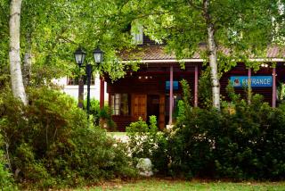 Kings Lodge Hotel - Hogsback - 3