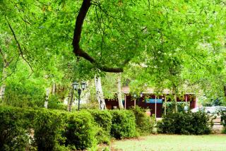 Kings Lodge Hotel - Hogsback - 5