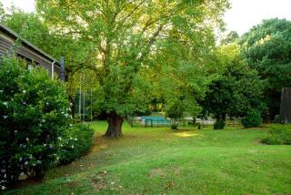 Kings Lodge Hotel - Hogsback - 7