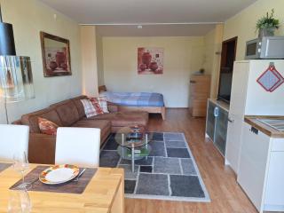 Luxus-Wohnung am Nationalpark Harz für Aktivurlaub - 9