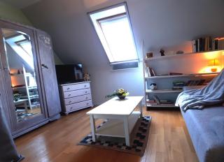 Gite Terre d'Helene 4 à 5 pers proche Strasbourg 42 m2, 3 étoiles, wifi, paisible, jardin, proche commerces,16 atouts, animaux acceptés - Berstett - 5