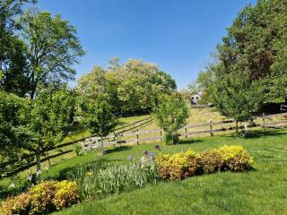 Gite Terre d'Helene 4 à 5 pers proche Strasbourg 42 m2, 3 étoiles, wifi, paisible, jardin, proche commerces,16 atouts, animaux acceptés - Berstett - 6
