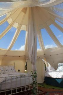 Tal-y-fan farm 6m stargazer tent - Bridgend - 5