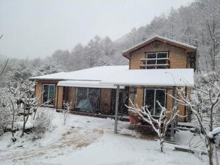 Danyang Sunflower Guesthouse - Danyang - 9