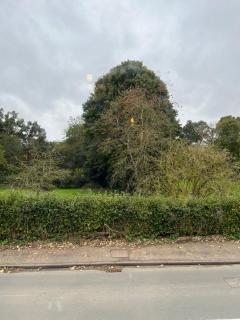 Red lion flat - Coltishall - 5