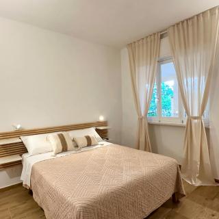 B&B Dalmazia Trani - Trani - 4