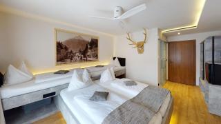 Hotel Adler - Golling an der Salzach - 6