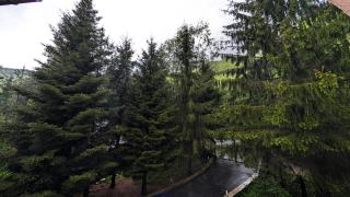 Cabana De La Rau Satic - Sătic - 2