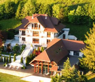 Villa Savoie - luxe et sérénité- piscine et jacuzzi - vue panoramique sur le lac d Annecy - Veyrier-du-Lac - 3