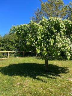 1 Brook Cottage, Sotterley Estate - 2