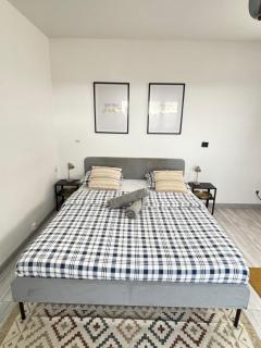 Soh Rent Strasbourg Wifi Terrasse St Aloise - Straatsburg - 5