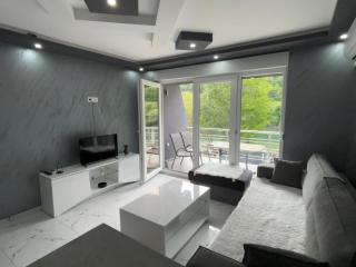 Apartment Zlatna plaža - Bratunac - 5