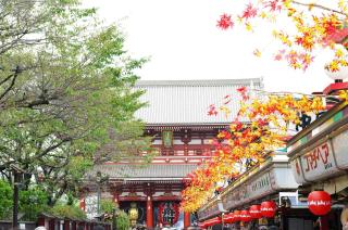 Nestry Asakusa 502号室 - 3
