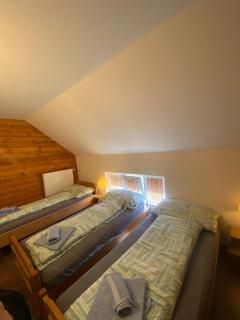 Forest Camp - Despotovac - 3