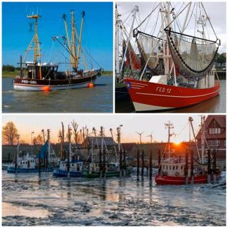 FeWo Alte Schule Süllwarden an der Nordsee - Butjadingen - 5