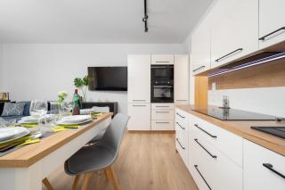 Miedziana 6 & 18 Apartment with FREE GARAGE Wrocław by Renters - Breslavia - 3