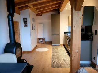 Portes du Soleil T3 "comme un chalet" direct access Morzine Avoriaz - Montriond - 6