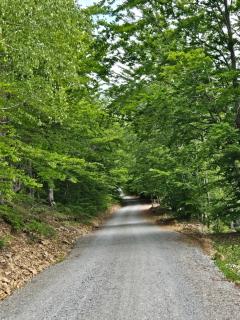 Wilderness Cabin - 7