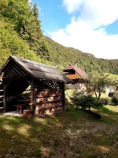Apartmaji Brložnica pod Veliko planino - 3