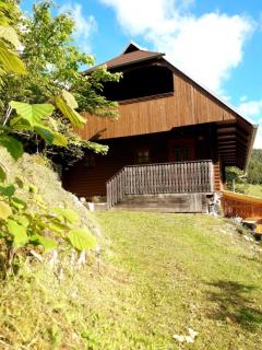 Apartmaji Brložnica pod Veliko planino - Luče - 7
