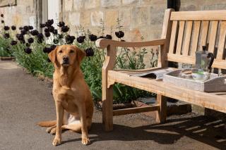 Grooms Cottage - Morpeth - 7