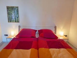 Gemütliche Ferienwohnung am Nationalpark Harz mit Parkplatz am Haus - Altenau - 1