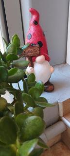 Spartines home - Votsi - 6