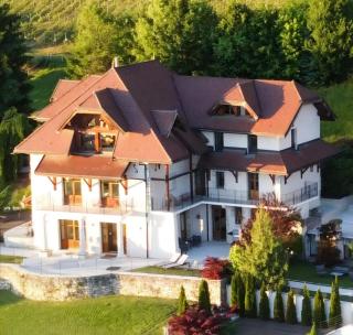 Villa Savoie - luxe et sérénité- piscine et jacuzzi - vue panoramique sur le lac d Annecy - Veyrier-du-Lac - 8