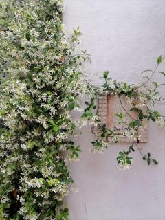 B&B I Due Gelsi - Monte Libretti - 8