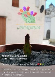 Residenza La Ficalindia - 9