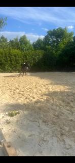 Annahoeve Venlo - Venlo - 3