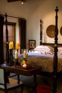 Bushmans Kloof Wilderness Reserve and Wellness Retreat - Clanwilliam - 4