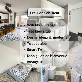 Soh Rent Strasbourg Wifi Terrasse St Aloise - Straatsburg - 9