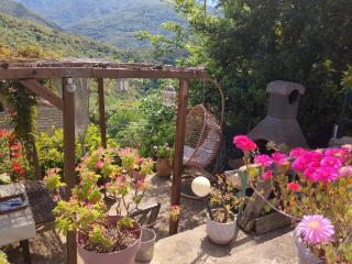 Casa Di mamou - Loreto-di-Tallano - 7