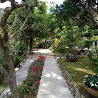 CASA ORRSA casa con terrazzo - Camogli - 6