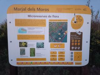 Puzol beach penthouse - 6