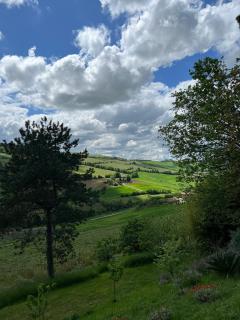 La casina sulla valle - Dozza - 8