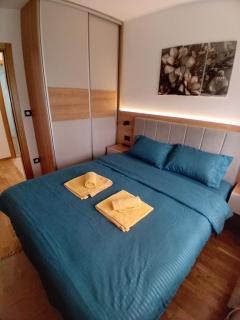 Apartman AKI Zlatibor - Zlatibor - 7