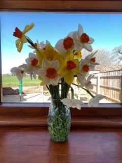 2 Brook Cottage, Sotterley Estate - 8