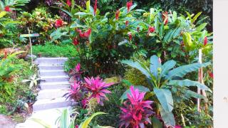 Sibouli Paradise - Pointe Michel - 9