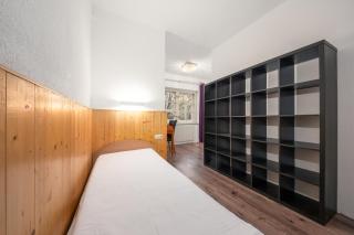 Villa Vagabund - Mayrhofen - 1