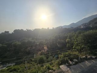 The Jungle Hut - Dharamsala - 2