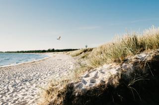 Toftagården Bed and Breakfast - Gotland - 3