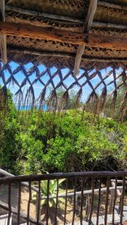 Tofo Beach Gardens - 7