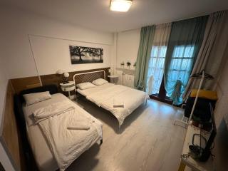 Green Apartment 4-26 Mircea Voda - Bukarest - 6
