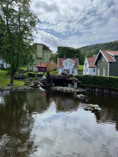 Sentral leilighet, Bergen - Bergen - 1