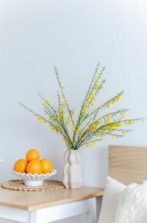 Health and Leisure Oasis - Druskininkai - 2