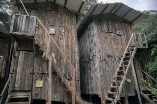 Bayrams Tree Houses - Olympos - 3
