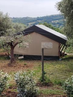 Sorelle Biologiche - Monte Castello di Vibio - 5