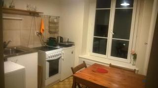 Studio in Geneva center - Plainpalais - Ginevra - 2